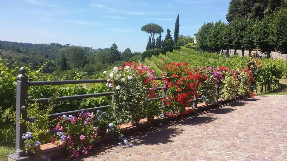 Residence Il Vigneto Lari Esterno foto